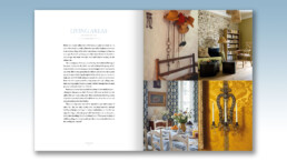 Provence Style - Living Areas, Chapter Introduction