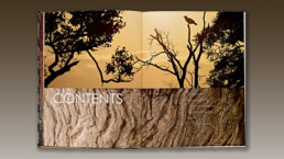 Safari Style: Contents