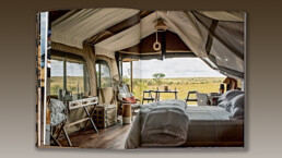 Safari Style: Spread